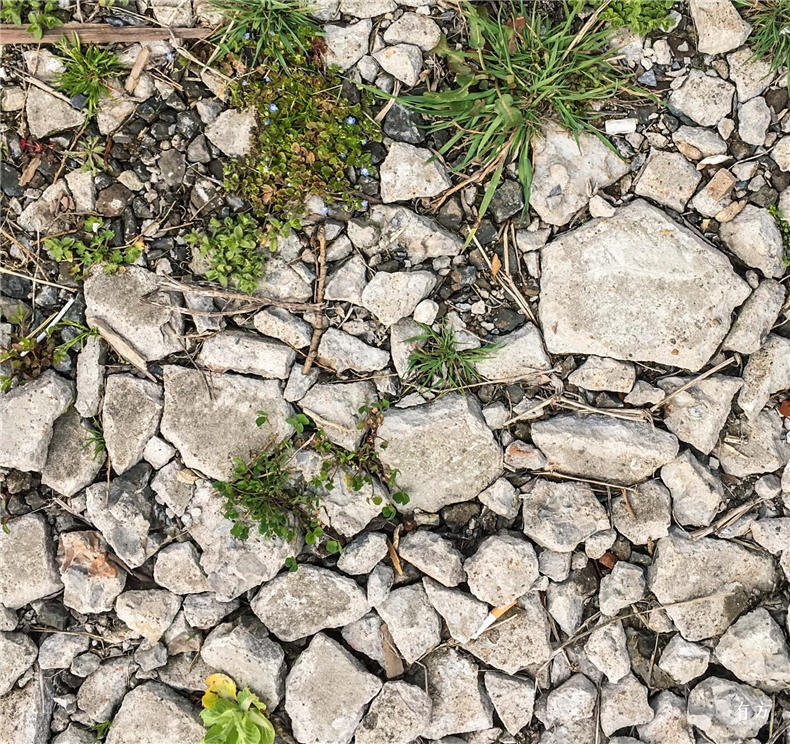 基地中原有的混凝土碎块