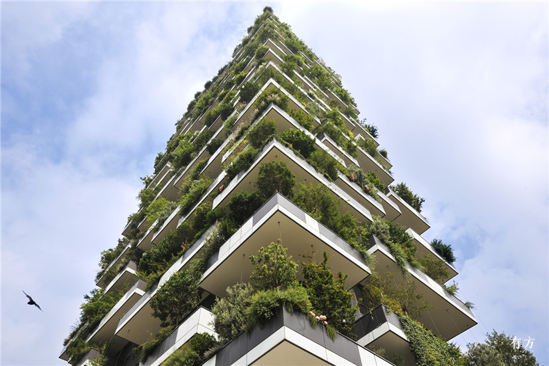 19.Vertical Forest 2026 Paolo  Rosselli PRESSIMAGE 1