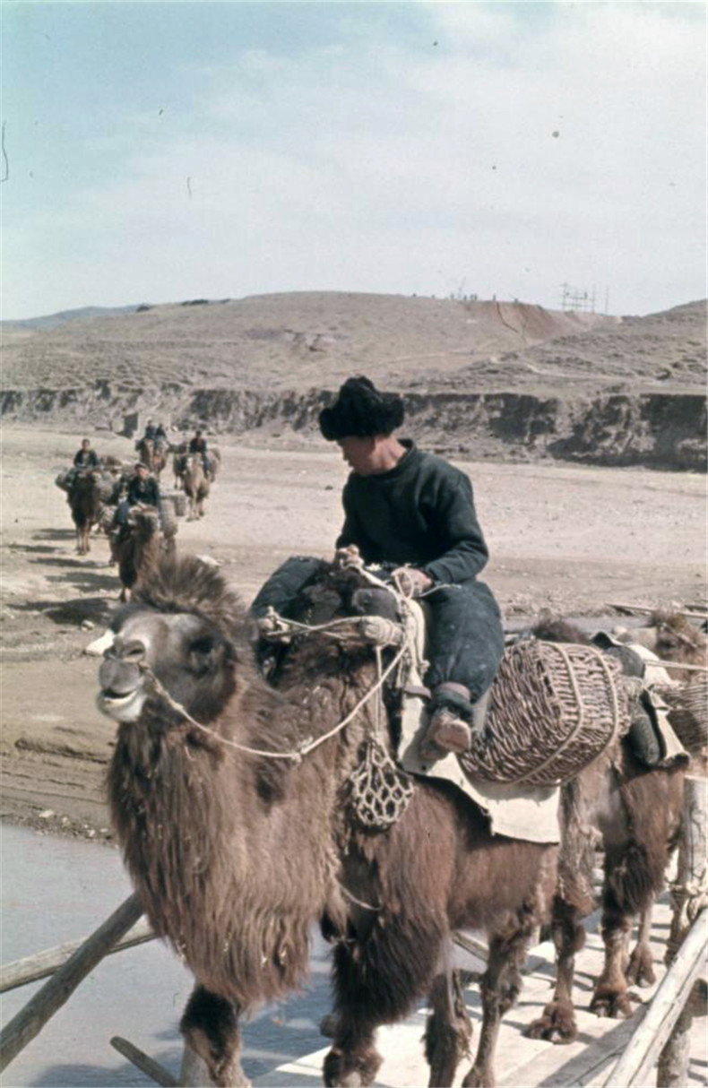 48 China 1957-66  83 Yungang 1.1 18-24