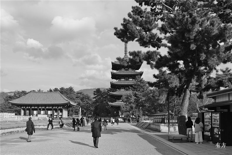 傅明程日本游记01