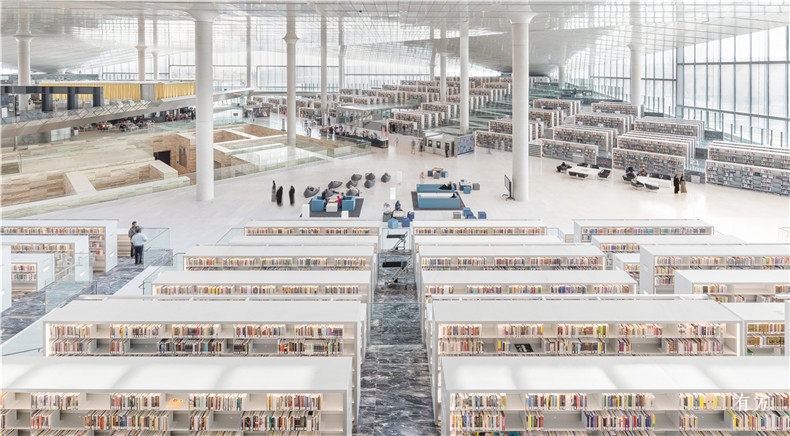 07 Qatar National Library Photo by Delfino Sisto Legnani and Marco Cappelletti