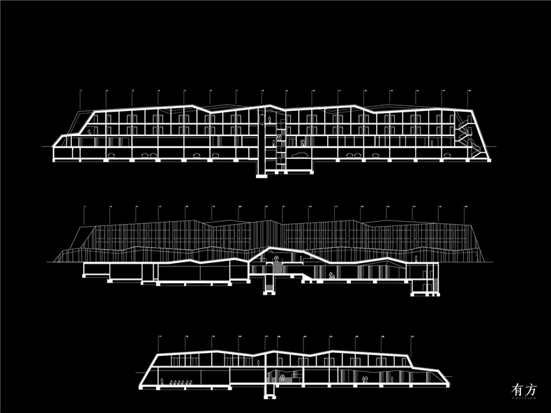 enota sotelia 23 longitudinal sections