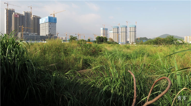 shijian-深圳湾-超级总部基地-珠三角-shenzhenbay youfang-6