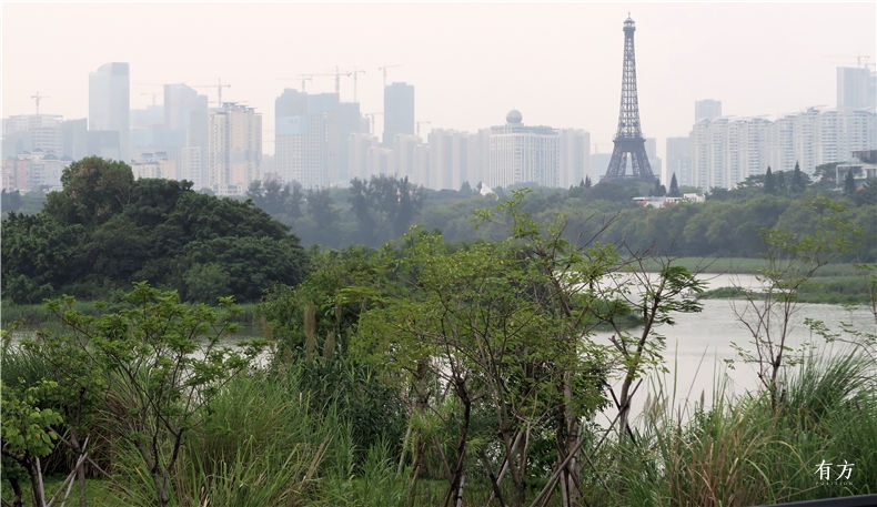 shijian-深圳湾-超级总部基地-珠三角-shenzhenbay youfang-9