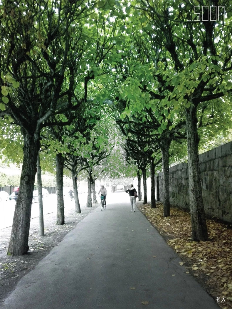 [原创]瑞典警察将老人丢坟场事件演变成故事会