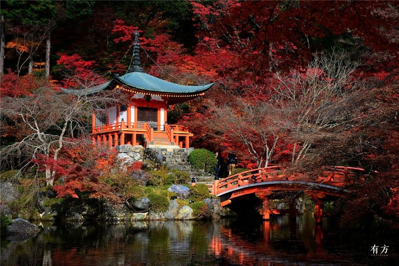 0京都红叶季-18