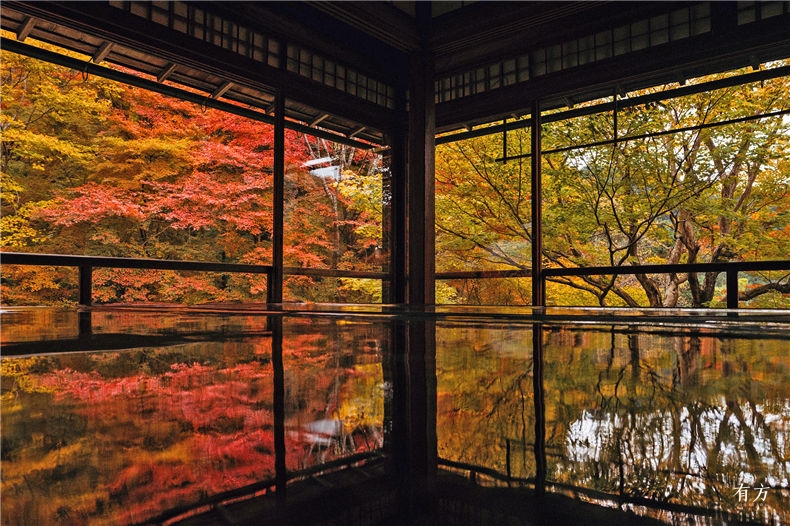 0京都红叶季-4