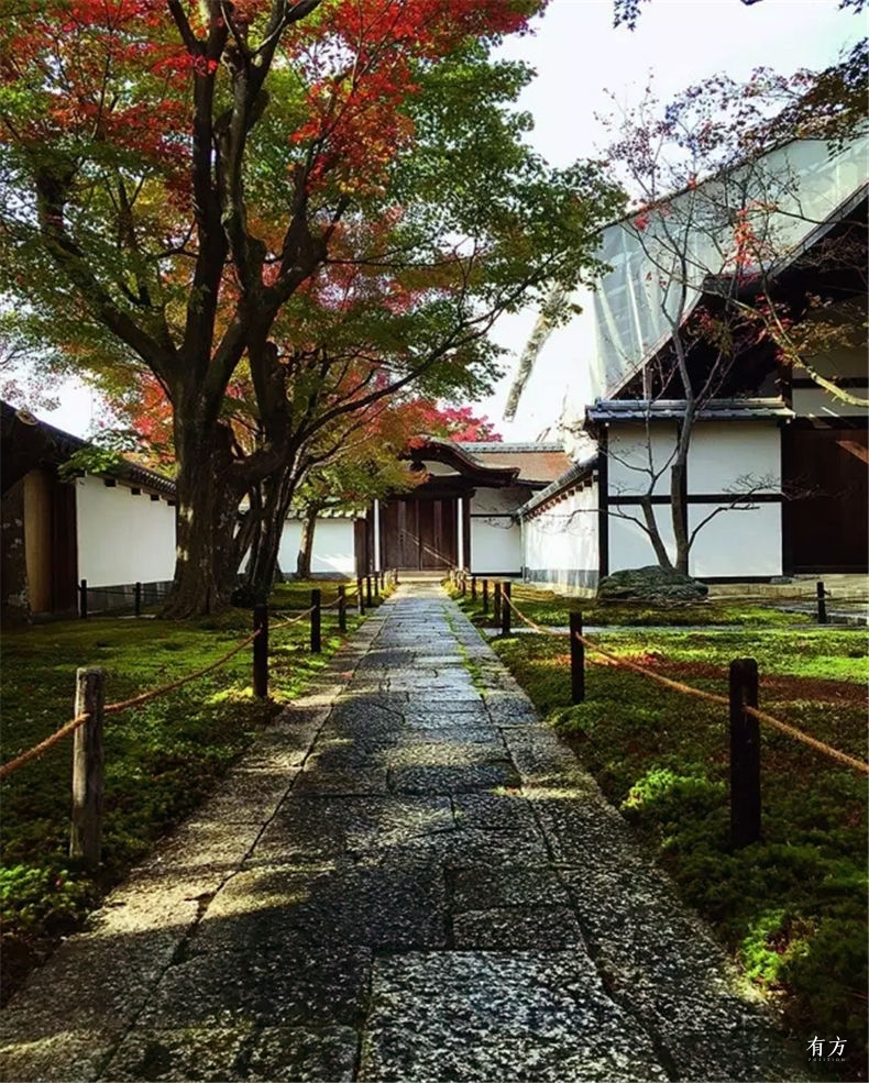 0京都孙建华04