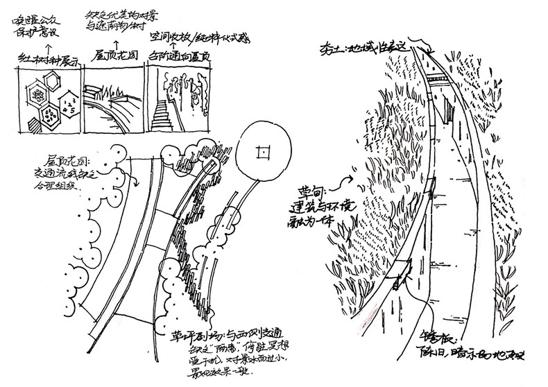 速写 林芷珊 东北林业大学 2