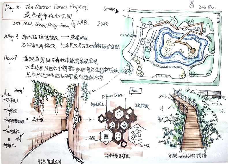 速写张宛馨 华南理工大学1