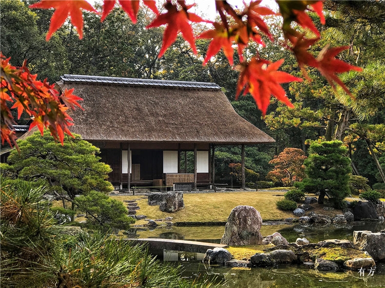 旅行现场 日本之美 庭园之心 有方