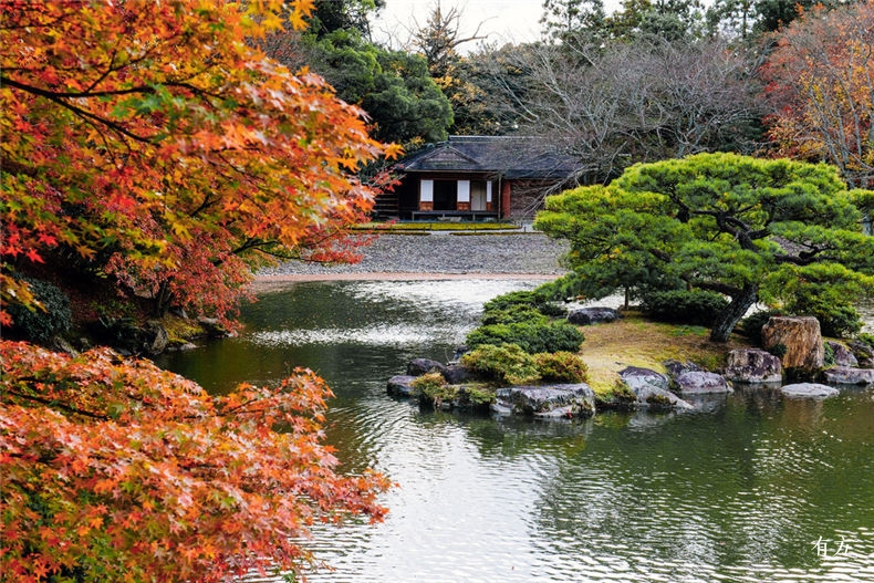 旅行现场 日本之美 庭园之心 有方