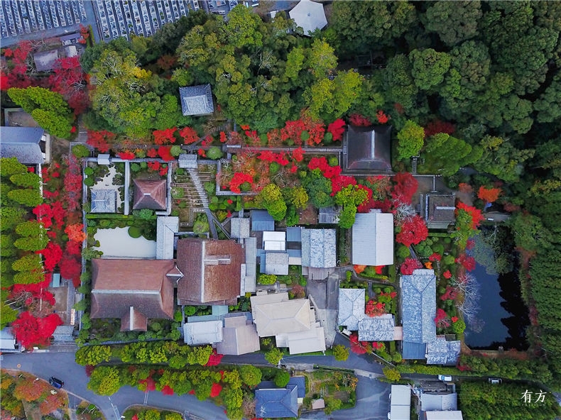 旅行现场 日本之美 庭园之心 有方 旅行现场 日本之美 庭园之心 有方