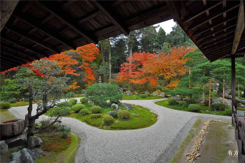 京都红叶季 如何优雅游园 惬意赏枫两不误 有方